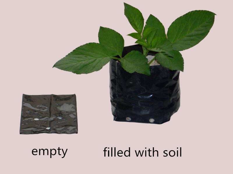 Blueberry 2 Gallon Thicken 7cm Plastic Plant Bags Seed Plastic Potting Bags