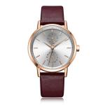Small Dial Womens Casual Leather Watch Pin Buckle Tempered Glass Waterproof