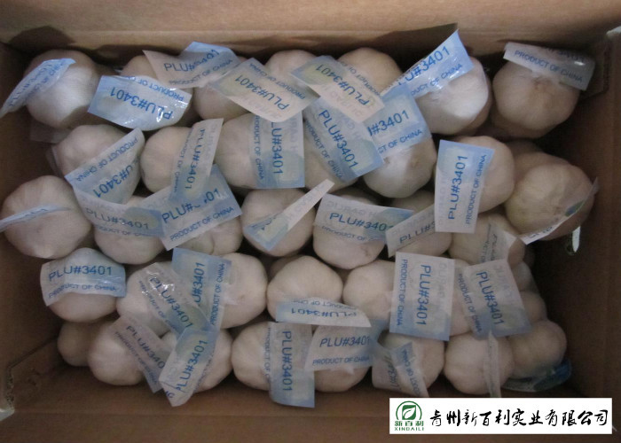 Wholesale Fresh Organic Garlic , New Crop Fresh White Garlic SGS Certification