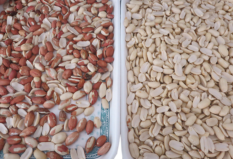 CCD LED Peeled Peanut Nuts Color Sorter 5 Chutes 320 Channels