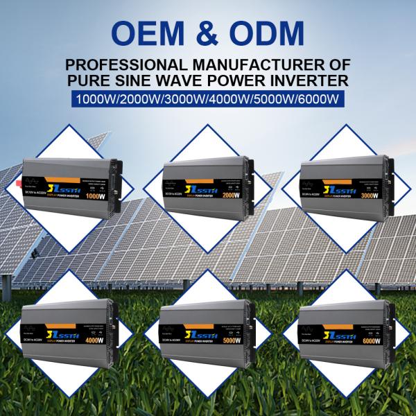 Pure Sine Wave Off Grid Power Inverter Dc 12V 24V To Ac 220V 230V 3000W Customized