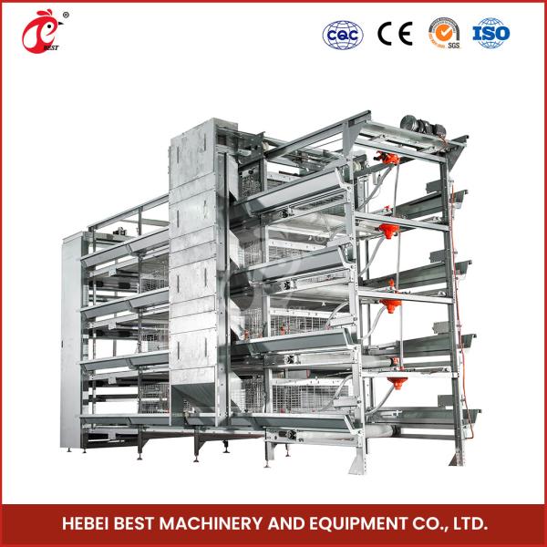 ISO14001 Certified Automatic Broiler Chicken Cage System 25 Years Long Lifespan