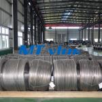 TP304L / 1.4306 Stainless Steel Coiled Tubing