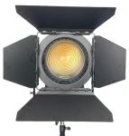 GENERALINK 600W Bi-Color Electronic Focusing Fresnel Spot Light