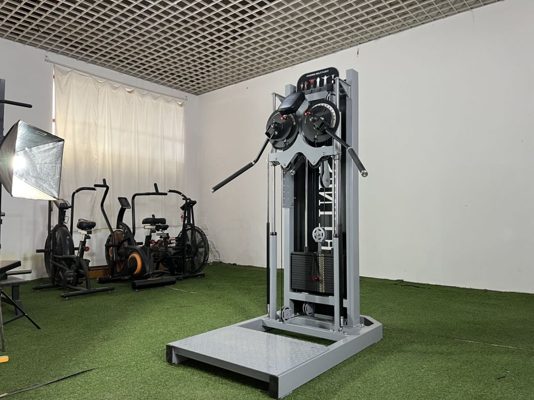 Commercial Fitness Equipment Side Raise Fitness Equipment