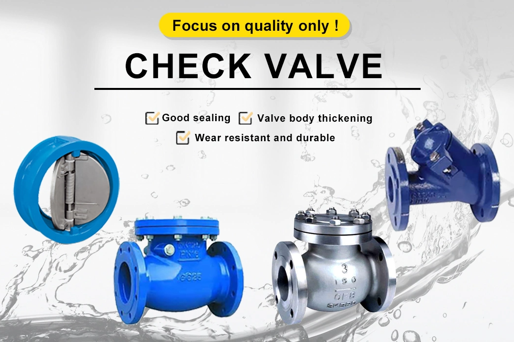 Ansi 6" Cast Steel Swing Check Valve Non-Return Drain Valve with Customized Service