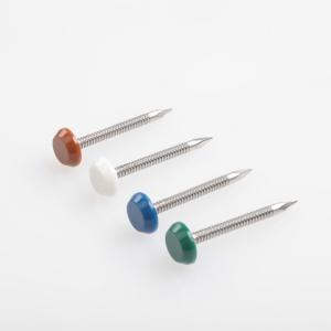 Wholesale A2 / A4 Polymer Headed Pins And Stainless Steel Nails With Colorfull Head from china suppliers