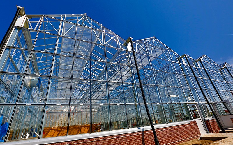 Glass Covered Vertical Hydroponic System for Growing Vegetables Fruits and Flowers