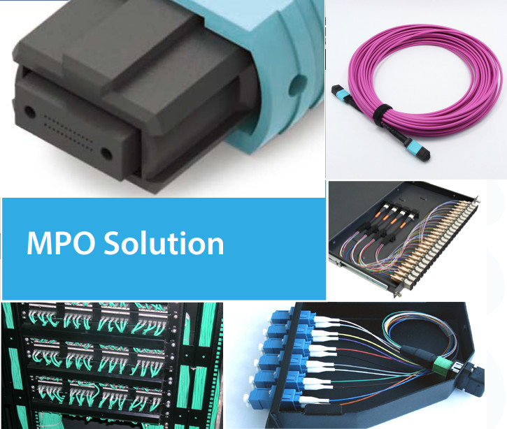 Fiber Optic Patch Cord MPO / MTP Connector 48 Fiber SM Type