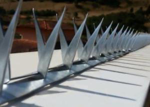 Wholesale Barb L64mm Barb Thickness 0.8mm Fence Wall Spikes from china suppliers