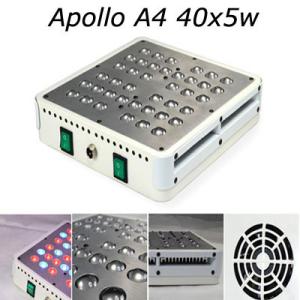 Wholesale Excellent 2016 Apollo Design 200w led grow light 5w led bead growing led horticultural from china suppliers