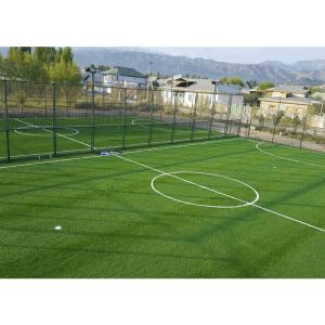Wholesale 3/8 Inch Outdoor Artificial Grass 8500-18500 Dtex UV Resistance from china suppliers