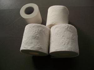 Wholesale Embossed Virgin White Toilet Tissue Paper Roll , 2ply from china suppliers