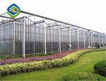 150N/MM Multi Span Glass Greenhouse of cucumbers vegetable