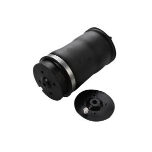 Wholesale 2513200025 2513200425 Mercedes Benz Air Suspension Shocks For W251 R320 R350 R500 from china suppliers