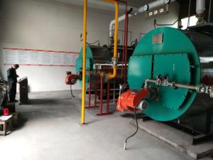Wholesale Three Pass Industrial Steam Boilers Gas Fired Hot Water Boiler For Pharmaceutical Industry from china suppliers