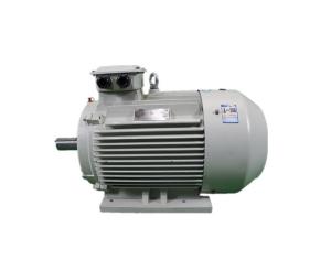 Wholesale 132KG 3 Phase Squirrel Cage Induction Motor YE3 160M2-2 15KW from china suppliers