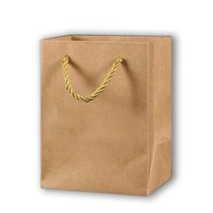 Wholesale Brown Shopping Paper Craft Bags With Handles Eco Friendly Material from china suppliers