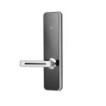 European Style Steel Entry Door Locks Door Aluminum Door Install Swipe Smart