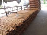 Floor Eucalyptus Wood 1200mm Wooden Mop Handles