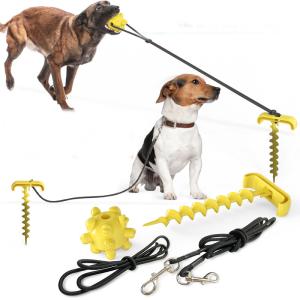 Wholesale Eco Friendly Elastic Plastic Ground Stake Dog Leash from china suppliers