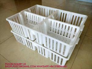 Wholesale sustainable white chicken cage 680*490*160mm Virgin PP Transportation Chicken Cage from china suppliers