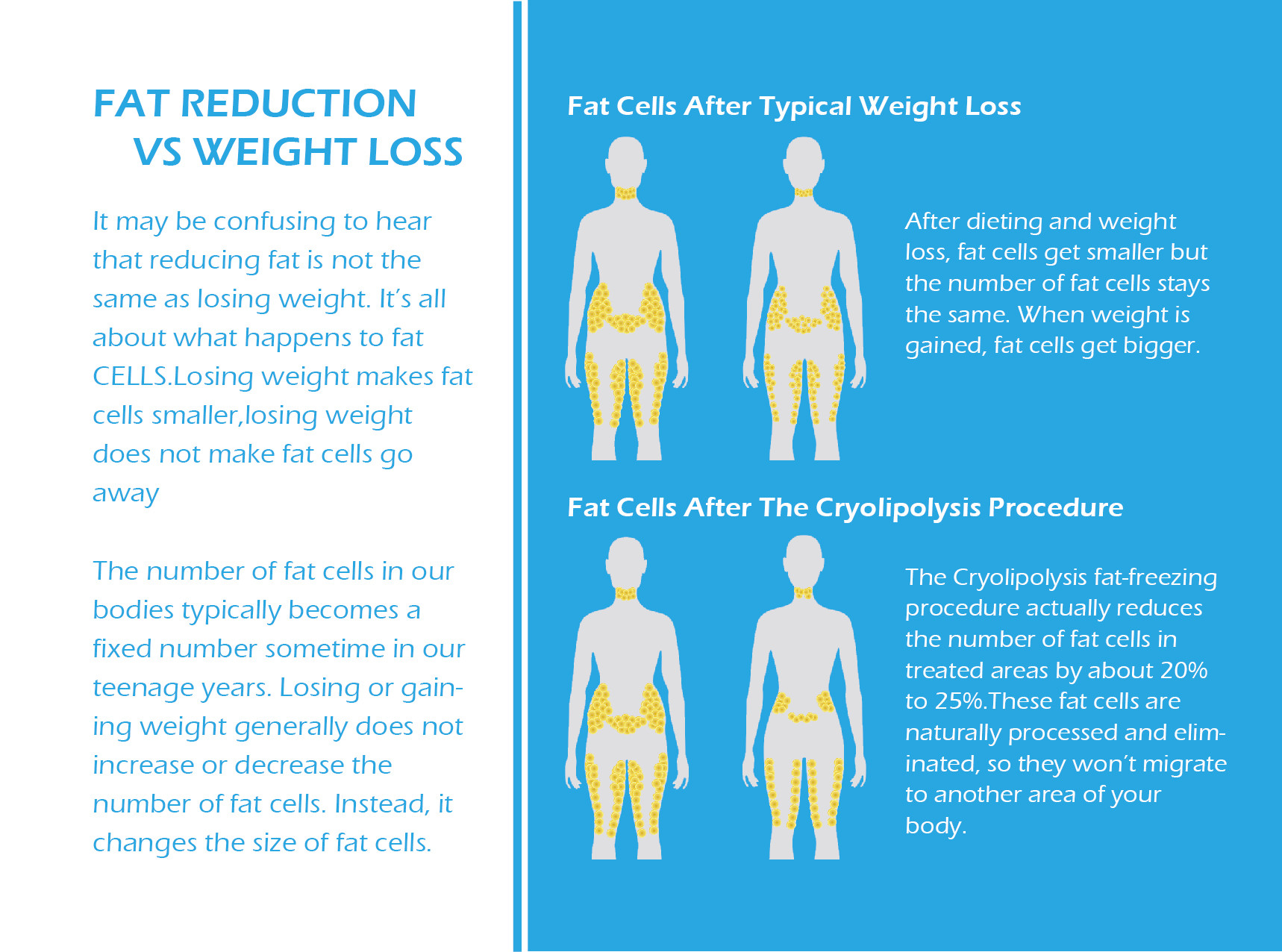 Cryolipolysis body slimming machine Cryolipolysis Slimming Machine
