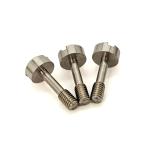 304 Stainless Steel Slotted Drive Low-Profile Cheese Head Captive Screw for