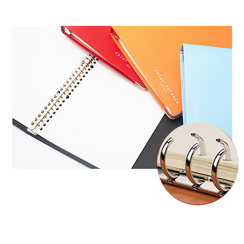 OEM Brochure Printing Services , Leaflet / Air Flyer Printing Services
