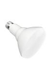App / Voice Control E26 Base Indoor 11W Ra80 Br30 Smart Bulb