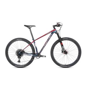 Wholesale Carbon Mountain Bike 29er Holographic Color With Sram SX 12S Groupset For Adult from china suppliers