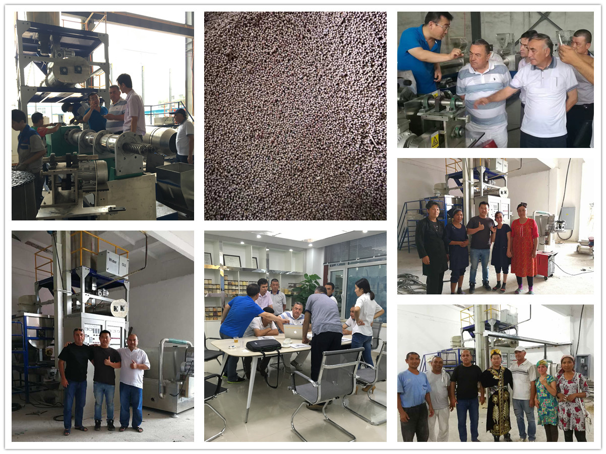 Auto CAD Layout Twin Screw Extruder for Fish Shrimp Feed Food Processing Line Plant