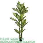 Artificial Golden Dieffenbachia Plant 43 Inch Tall Fake Tropical Lifelike Tree