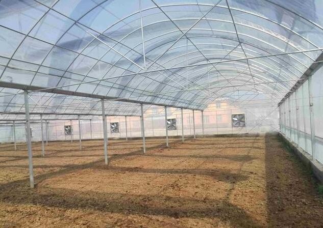 Strong Structure Polyethylene Film Greenhouse Thickness 0.12 / 0.15 / 0.20mm