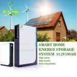 Energy Storage Lifepo4 Lithium Ion Batteries 5kwh 48V 100Ah Wall Mounted