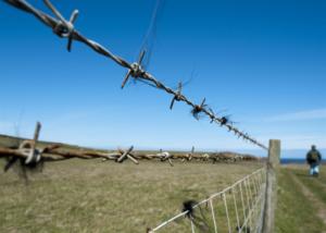 Wholesale Double Twist 25kg Roll Steel Barbed Wire 2.0mm Fully Galvanised Security Protection from china suppliers