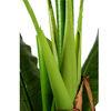 Artificial Banana Tree 6ft Tall 22 Large Leaves Triple Stalk Faux Banana Silk