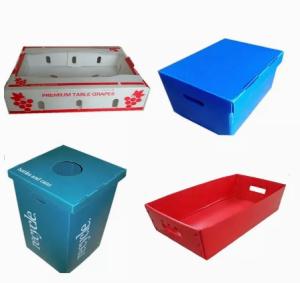 Wholesale 2400x1200 2440x1220 Fruit Vegetable Box Plastic Corrugated from china suppliers