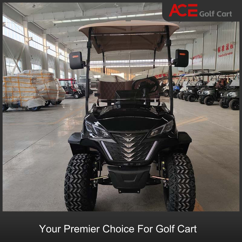 4 Wheel Electric Mini Golf Cart 2 Seaters Club Car Black Color