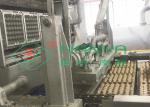 6000 pcs/hr Automatic Rotary Egg Tray / Egg Box Molding Equipment