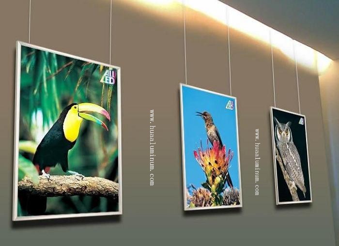 ASTM 6mm Signage Aluminum Composite Panel 1550mm Anodized Surface