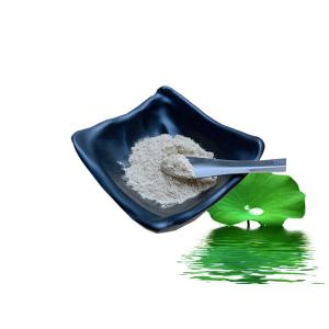 Wholesale 50% Lotus Leaf Extract Powder Nuciferine Lose Weight Eliminate Heat Stroke from china suppliers