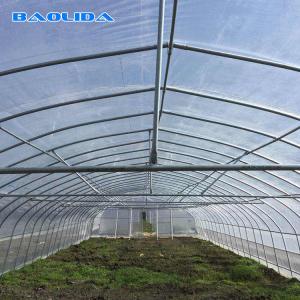 Wholesale Sample Tunnel Plastic Greenhouse / Plastic Vegetable Single Span Greenhouse from china suppliers