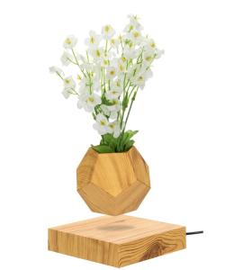 Wholesale hotsale magnetic levitate floating bottom air bonsai pot planter tree from china suppliers