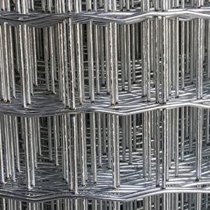 Wholesale Galvanized Square Welded Wire Screen Plate Anti Corrosive For Poultry Cages from china suppliers