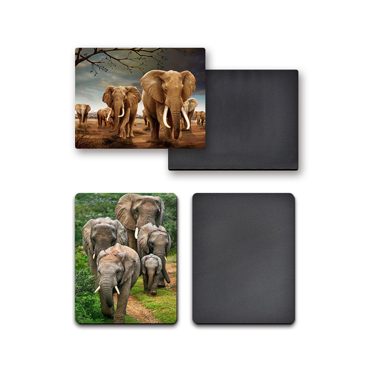 Heidelberg Machine 3D Fridge Magnets Lenticular Offset Printing