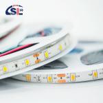 Waterproof 2835 120Led 12V 24V 3000K 4000K 6000K 80 CRI Neon Smart Led Strip