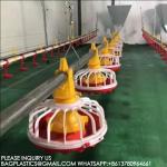 Agricultural Products Automatic Chicken Feeder Agricultural Greenhouses Animals