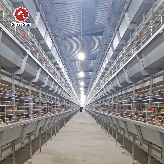 Hot Dipped Broiler H Type Chicken Cage Full Automatic
