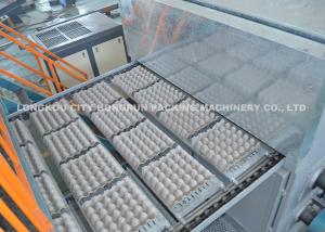 Wholesale 220V / 380V Egg Carton Production Line Fast Speed BV TUV ISO9001 CE from china suppliers
